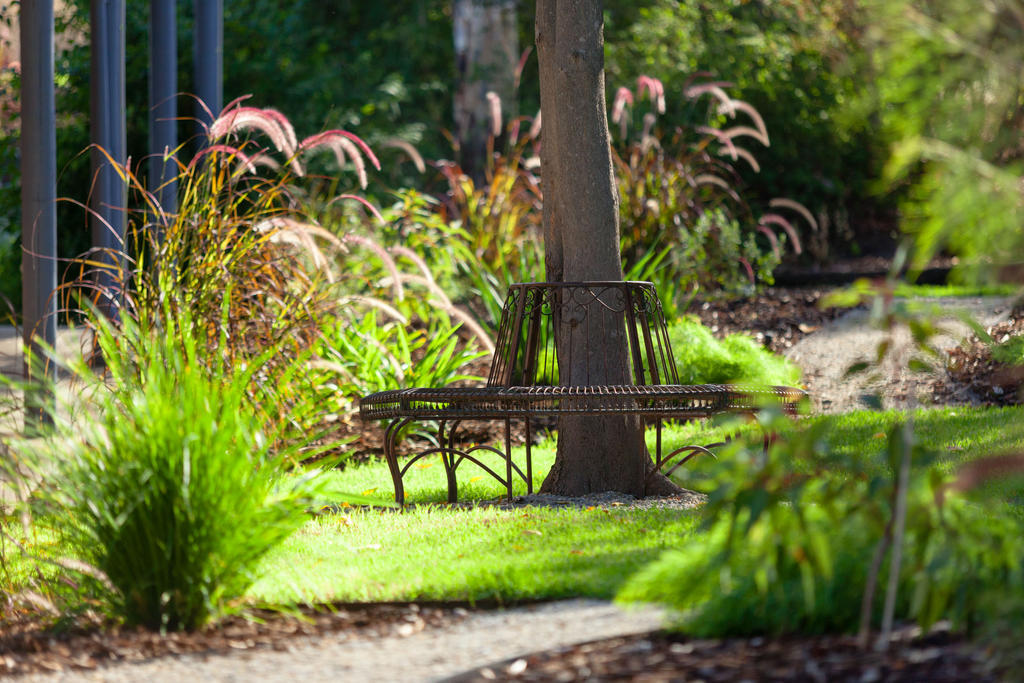 Blazing Stump Motel & Suites Wodonga Eksteriør bilde
